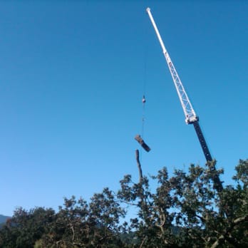 World Tree Service - Craning Oak logs to the lower road. - Tree Services Near Me - San Anselmo, California World Tree Service - Craning Oak logs to the lower road. - Tree Services Near Me - San Anselmo, California