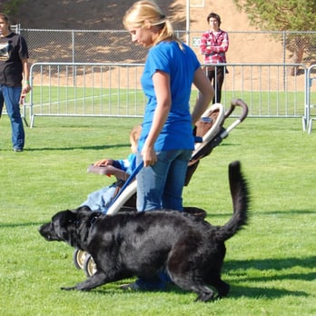 Blazing Trails K9 Academy - Annual Bark at the Park Event in Lancaster - Pet Training Near Me Blazing Trails K9 Academy - Annual Bark at the Park Event in Lancaster - Pet Training Near Me