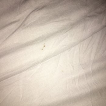 Massage Envy - More stains on sheets that looks like blood. - Massage Near Me - Cromwell, Connecticut