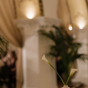 The Little Branch - Florists Near Me - Los Angeles, California