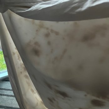 Renaissance Dallas Richardson Hotel - DISGUSTING MOLD ALL OVER THE BLANKET - Hotels Near Me - Richardson, Texas Renaissance Dallas Richardson Hotel - DISGUSTING MOLD ALL OVER THE BLANKET - Hotels Near Me - Richardson, Texas