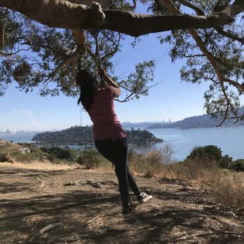 Hippie Tree - Hiking Near Me - Tiburon, California