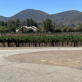Agua Dulce Winery - This place was beautiful - Wineries Near Me - Agua Dulce, California