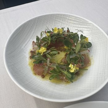 Citrin - Yellowtail Hamachi Crudo delicious! - Cocktail Bars Near Me - Santa Monica, California