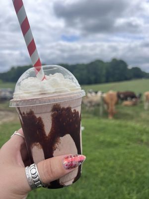 Howling Cow Dairy Education Center and Creamery by null