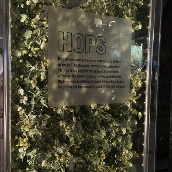 Guinness Storehouse - Breweries Near Me - Dublin, D Guinness Storehouse - Breweries Near Me - Dublin, D