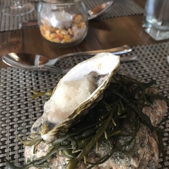 Clean Slate Eatery - Starter! - Vegetarian Near Me - West Dennis, Massachusetts