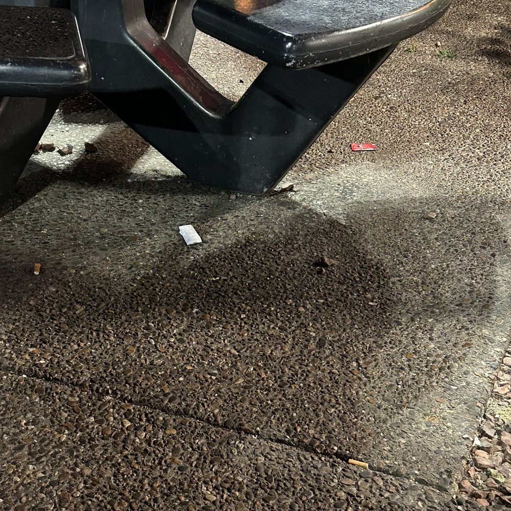 Rally's - Trash all over - Burgers Near Me - New Albany, Indiana