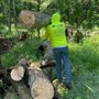 Photo of LC Tree Service