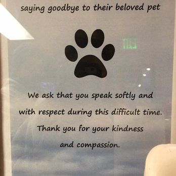 Marine View Veterinary Hospital - Compassionate!! - Veterinarians Near Me - DesMoines, Washington Marine View Veterinary Hospital - Compassionate!! - Veterinarians Near Me - DesMoines, Washington