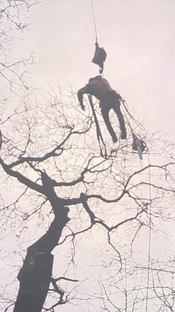 TREE SLAYERS Updated September 2024 19 Photos 27 Zina Rd, Hudson