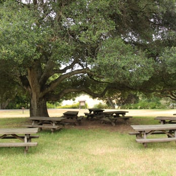Olompali State Historic Park - Olompali has many picnic areas, including this great space near the visitor center. - Parks Near Me - Novato, California Olompali State Historic Park - Olompali has many picnic areas, including this great space near the visitor center. - Parks Near Me - Novato, California