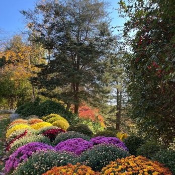 Edwards Gardens - Parks Near Me - North York, Ontario