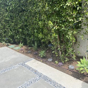 Barragan Landscaping & Irrigation - Landscaper Santa Clarita - After - Irrigation Near Me - San Fernando, California