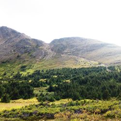 Flattop Mountain Shuttle