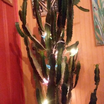 Gypsy Cafe - Eclectic decor - New American Near Me - Lincoln, New Hampshire