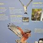 Photo of Lindsay Wildlife Experience