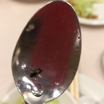Kirin Restaurant - Here is the fly that came with my congee dish - Seafood Near Me - New Westminster, British Columbia Kirin Restaurant - Here is the fly that came with my congee dish - Seafood Near Me - New Westminster, British Columbia