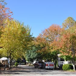 Homestead RV Park For Seniors - Homestead RV Park in October. Leaf season