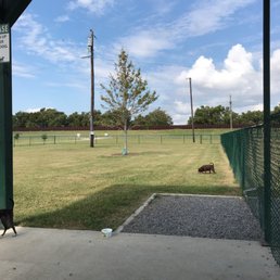 Dog park