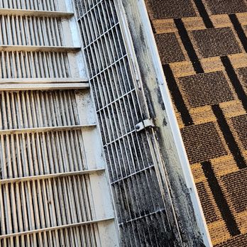 Econo Lodge Inn & Suites - Black mold - Hotels Near Me - Brookings, South Dakota Econo Lodge Inn & Suites - Black mold - Hotels Near Me - Brookings, South Dakota