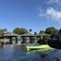 Photo of Kayak Rental Silver Springs