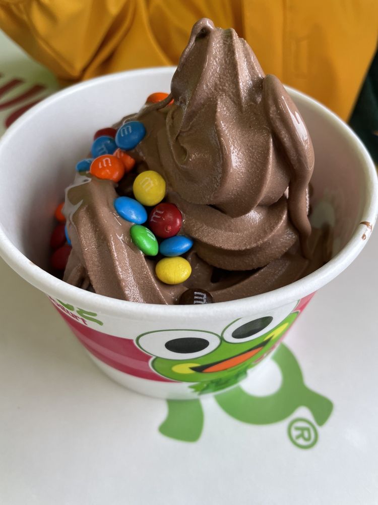 SWEETFROG PREMIUM FROZEN YOGURT Updated August 2024 48 Photos & 46 Reviews 12515 Jefferson