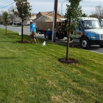 Moon Valley Nurseries - Trees - Tree Services Near Me - Chino, California Moon Valley Nurseries - Trees - Tree Services Near Me - Chino, California