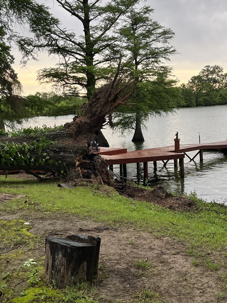 Chowi's Tree Services - tree service in Little Rock, AR