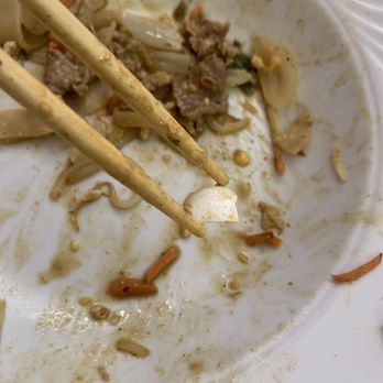 Pho Chau - EGGSHELLS in the Beef Pad Thai - Vietnamese Near Me - Rochester, Minnesota Pho Chau - EGGSHELLS in the Beef Pad Thai - Vietnamese Near Me - Rochester, Minnesota