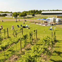 Blu Dot Farm & Vineyard - Front view of airstream tasting room