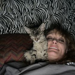 Animal Shelter of Orange County