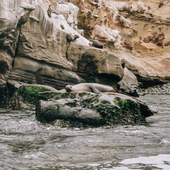 La Jolla Kayak - Tours Near Me - La Jolla, California