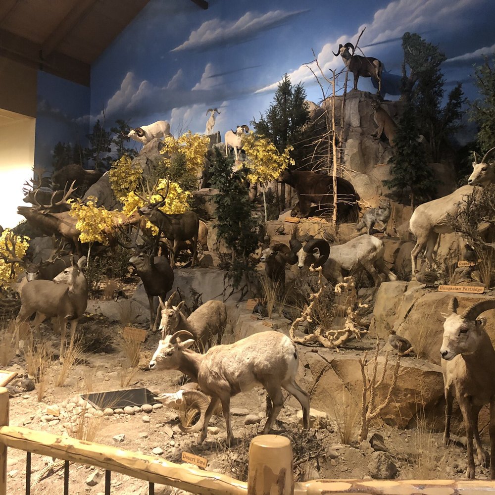 Cabela's - Guns & Ammo Near Me - Verdi, Nevada