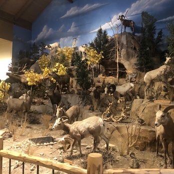 Cabela's - Guns & Ammo Near Me - Verdi, Nevada Cabela's - Guns & Ammo Near Me - Verdi, Nevada