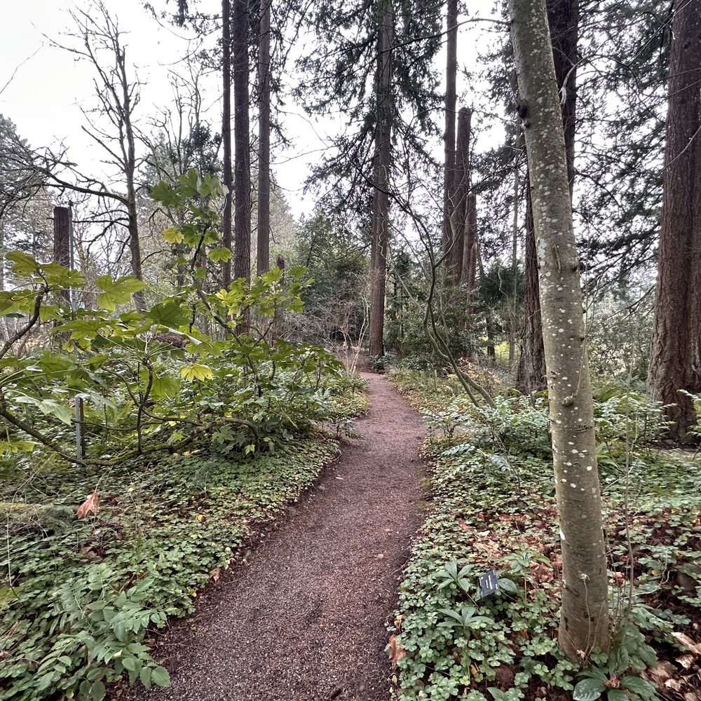 Leach Botanical Garden - Botanical Gardens Near Me - Portland, Oregon