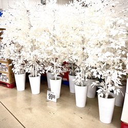 Sam's Club - Lots of trees
