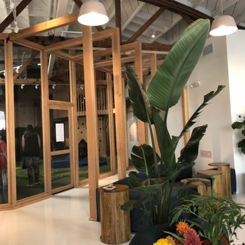 Fox & Kit - Play space - Coffee & Tea Near Me - San Rafael, California