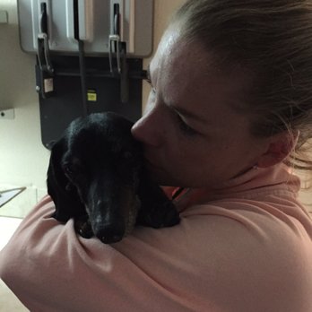 FACE Foundation - Our last goodbye to our 18 yr 3 day old boy.. he's in heaven with his girlfriend Em. We miss u babies terribly - Pet Services Near Me - San Diego, California
