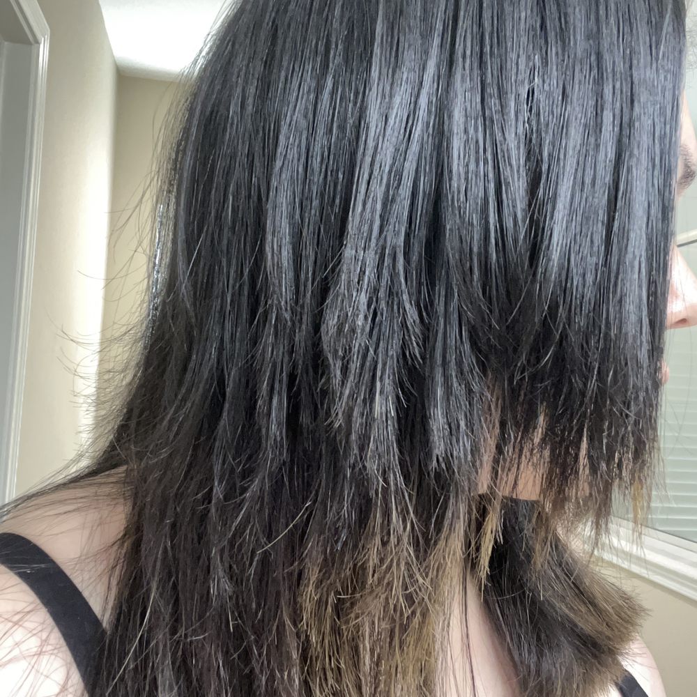 Supercuts - Wtf is this?! - Hair Salons Near Me - SPRING, Texas