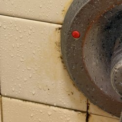Filthy shower handle