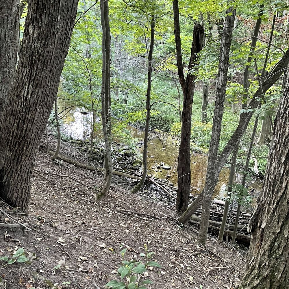 Northampton Park - Tiny trails sprawl away from the original where you can take a peek at the water. - Parks Near Me - Spencerport, New York Northampton Park - Tiny trails sprawl away from the original where you can take a peek at the water. - Parks Near Me - Spencerport, New York