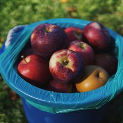 Drazen Orchards - Pick Your Own Apples