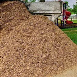 Playground chips