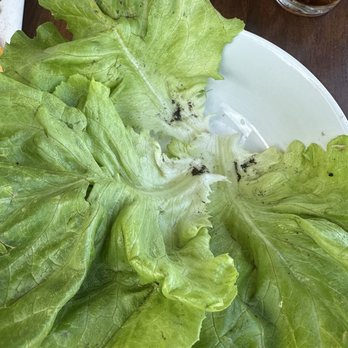 Crave Kitchen And Bar - Dirty lettuce - Breakfast & Brunch Near Me - El Paso, Texas