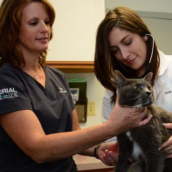 Roseville Veterinary Clinic - Veterinarians Near Me - Boyce, Virginia Roseville Veterinary Clinic - Veterinarians Near Me - Boyce, Virginia
