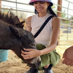 Happy Hooves