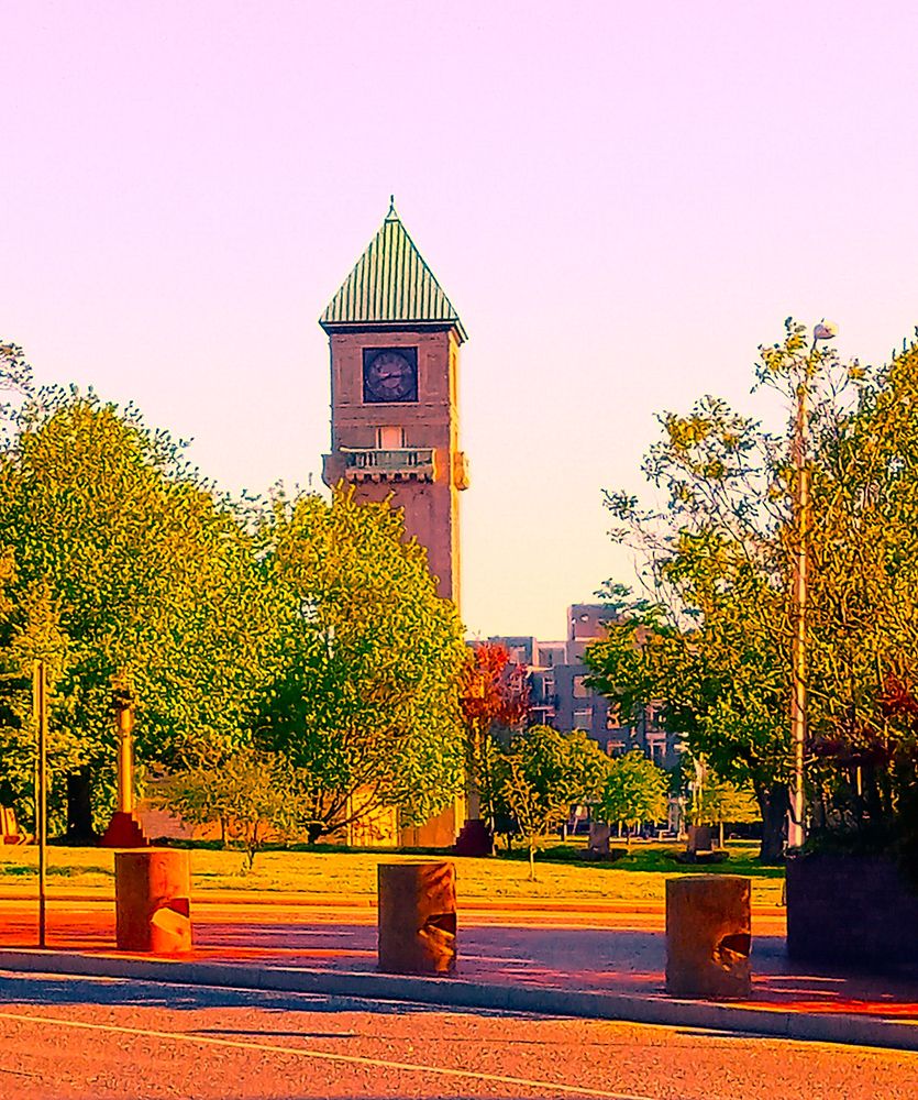 B'More Poultry and Plants