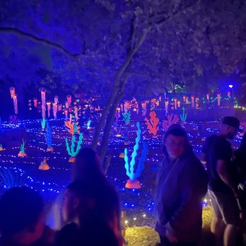 Pumpkin Nights - Jellyfish field - Festivals Near Me - Arlington, Texas Pumpkin Nights - Jellyfish field - Festivals Near Me - Arlington, Texas