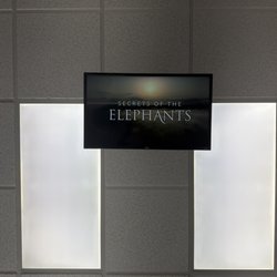 Mason Duff, DMD - Life Dentistry - Netflix on the cieling